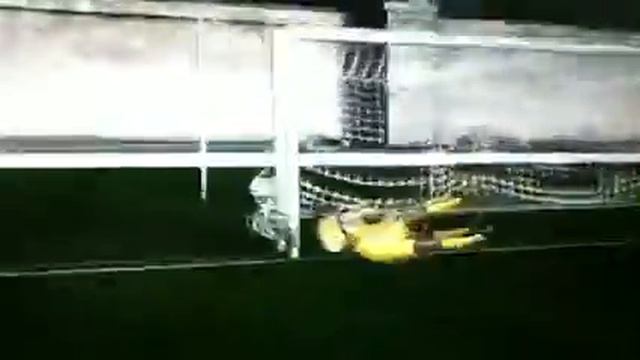 Messi Destroys Goal Net On Fifa 12