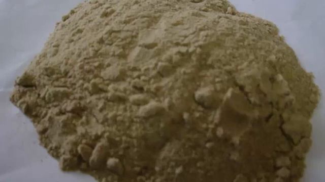 black turmeric herb