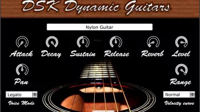 DSK Dynamic Guitars - Guitar Vst Plugin