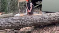 Crazy Ported Husky 394, vs Big tree