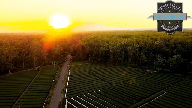 Exploring Hidden Nature of Nganjuk ~~ East Java Indonesia