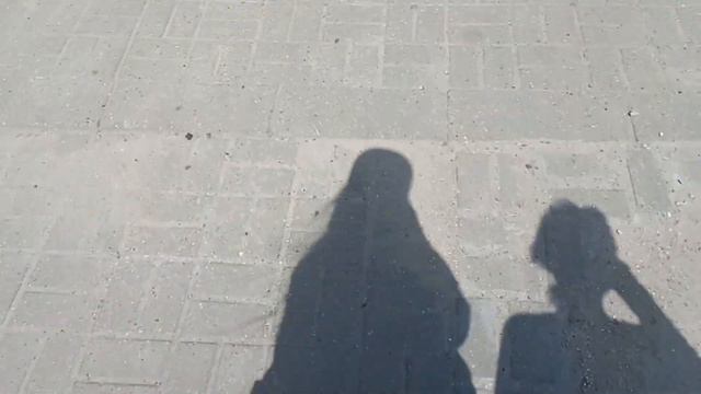 Неудавшейся обзор на Владимирский автовокзал. Кое-как уехали на дачу (Это кошмар).
