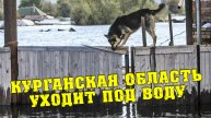"Жить теперь негде!" Объявлена ЭВАКУАЦИЯ 😮 Вслед за Оренбургской областью вода пошла на Курганскую