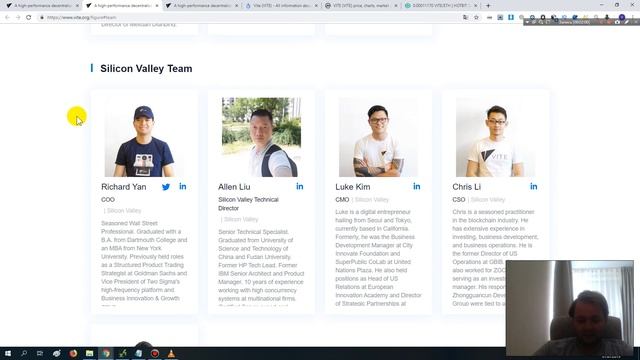 Обзор Vite.Стоимость.Перспективы развития.