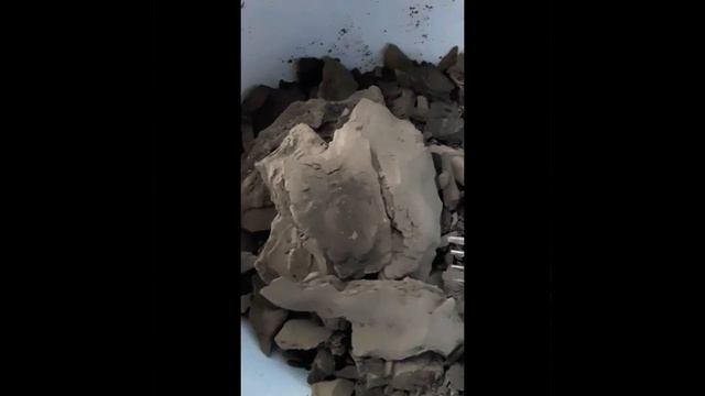 Жую сырую ЧАРОДЕЙКУ🗻Игра: