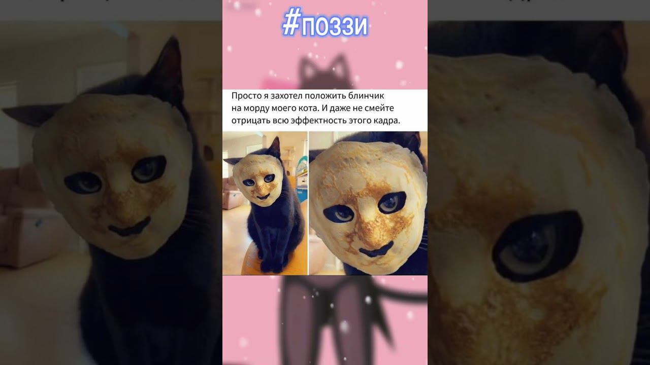 Доброе утро☀ ⏰#позитив #поззи #юмор #доброеутро #прикол
