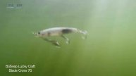 Blade cross 70 in action underwater (под водой)