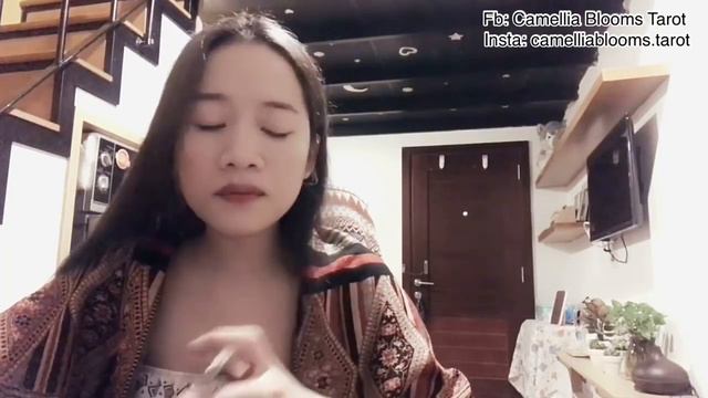 Hành Động Cuối Cùng Của Họ || Camellia Blooms Tarot