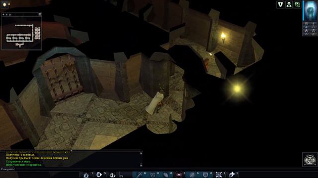Neverwinter Nights EE | Паладин | Боддинок Глинкл | Рецепт дрожжевого хлеба | Зоопарк | 16