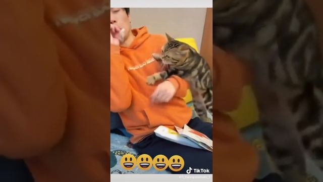 Самые весёлые истории смех ?