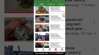 Очень интересный канал/Бенгальский кот Вирсик и его приключения