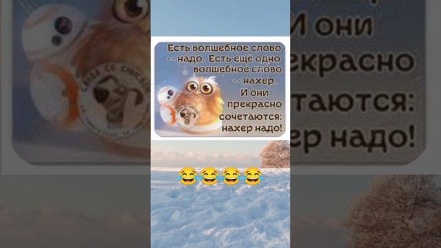 Развлечения