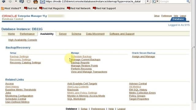 Performing Oracle Database Backups  Part 2nd  Chapter 15