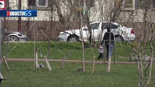 Маткапитал на третьего ребенка