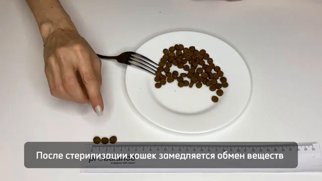 Сухой корм для стерилизованных и кастрированных кошек Probalance Sterilized, с курицей, 400г