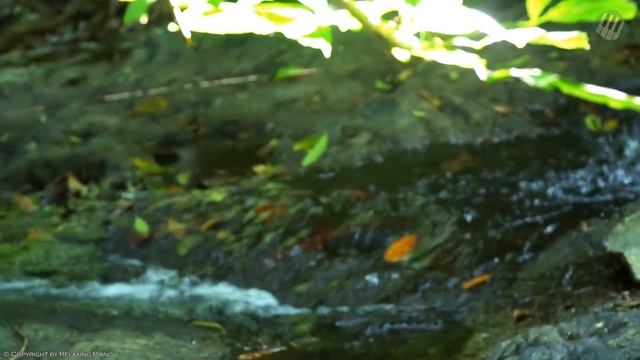 Top 30 Romantic Classical Piano Love Songs Ever - Classical Music for Relaxation, Study, Sleeping