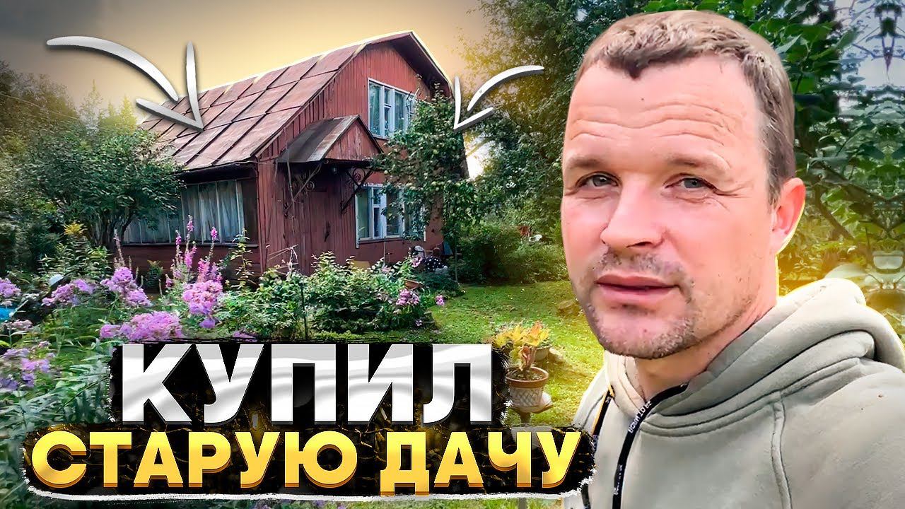 Купил старую дачу у леса.