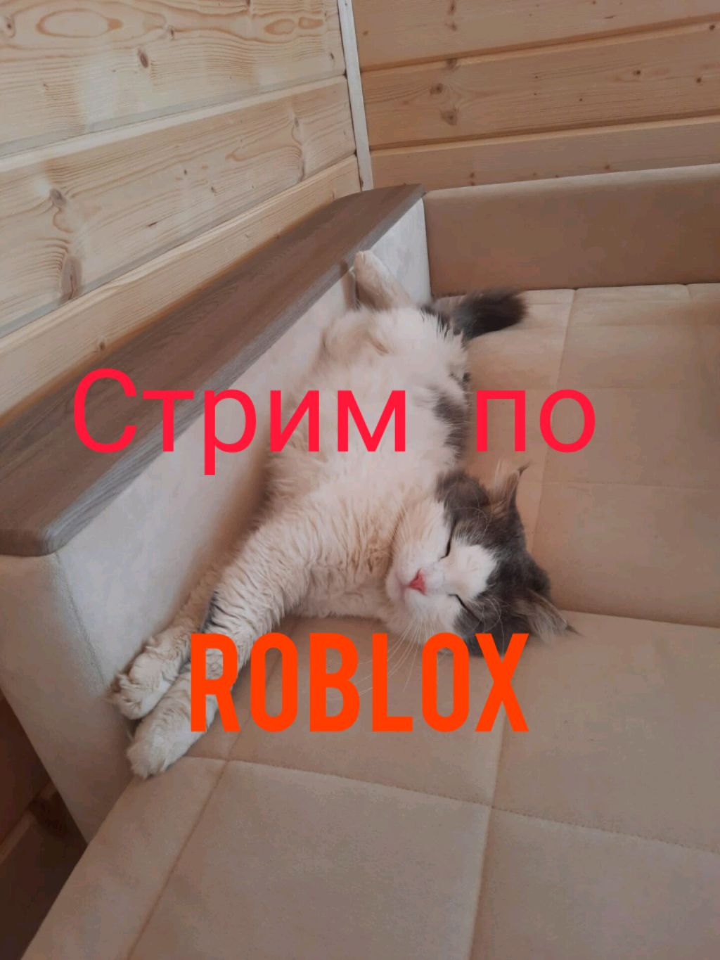 Стрим по Roblox