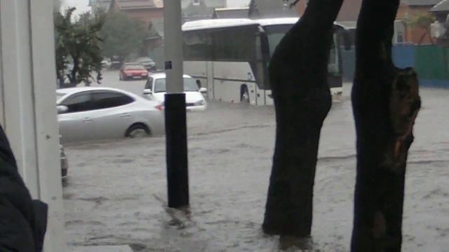 краснодар, 02.10.13 гаврилова (центр)