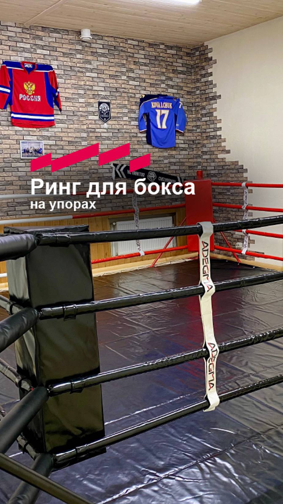 Ринг для бокса ADEGMA®