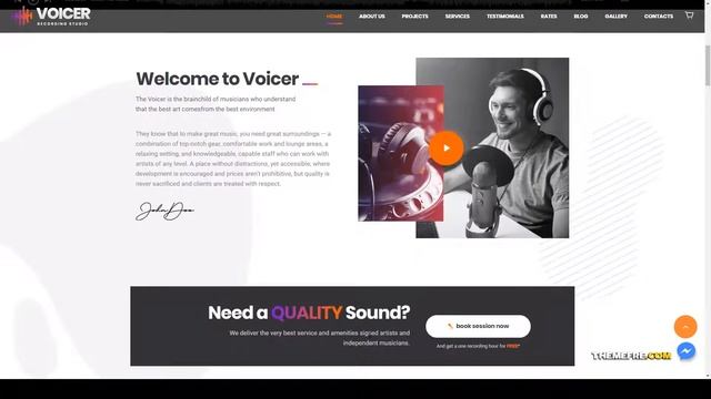 Voicer - Recording and Sound Studio WordPress Theme sound 13 Hatano