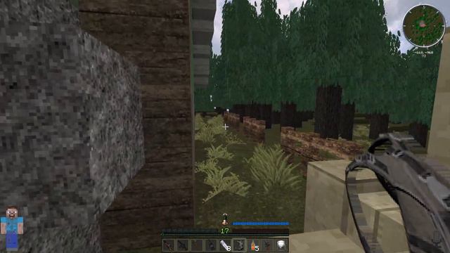Решили зарейдить донат базу "Minecraft DayZ"
