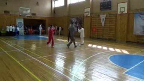 Sereda Bagua group performance