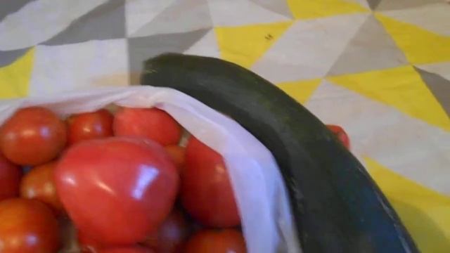 Помидоры и кабачок на столе | осенний урожай