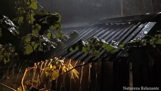 ? 즉시 수면, 끔찍한 비바람과 지붕 위의 강력한 천둥과 함께깊은 잠 | 백색 잡음