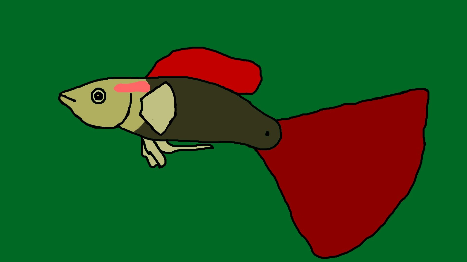 Аквариумная рыбка на зелёном фоне