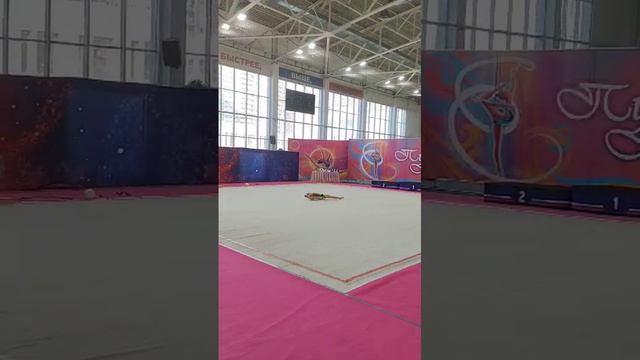 Соревнования по художественной гимнастике!