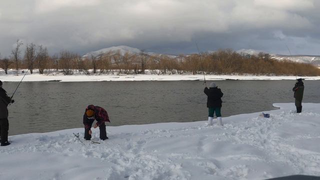 Камчатка, река Авача первый выезд и первый голец разведка.