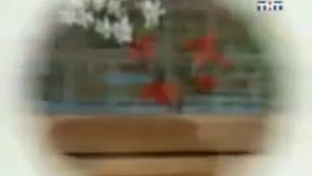 Каламбур Деревня дураков Великие герои