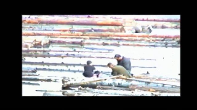 Березовый архив98