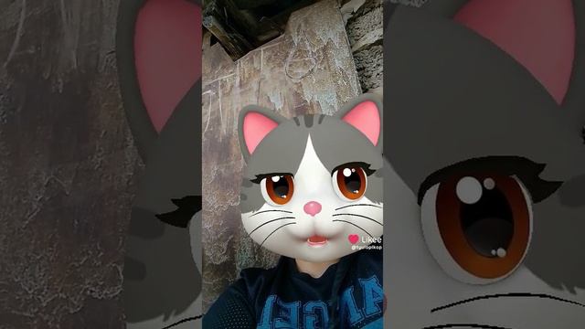 1000012258.mp4