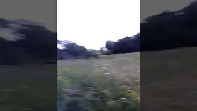 Здоровья, счастья и любви