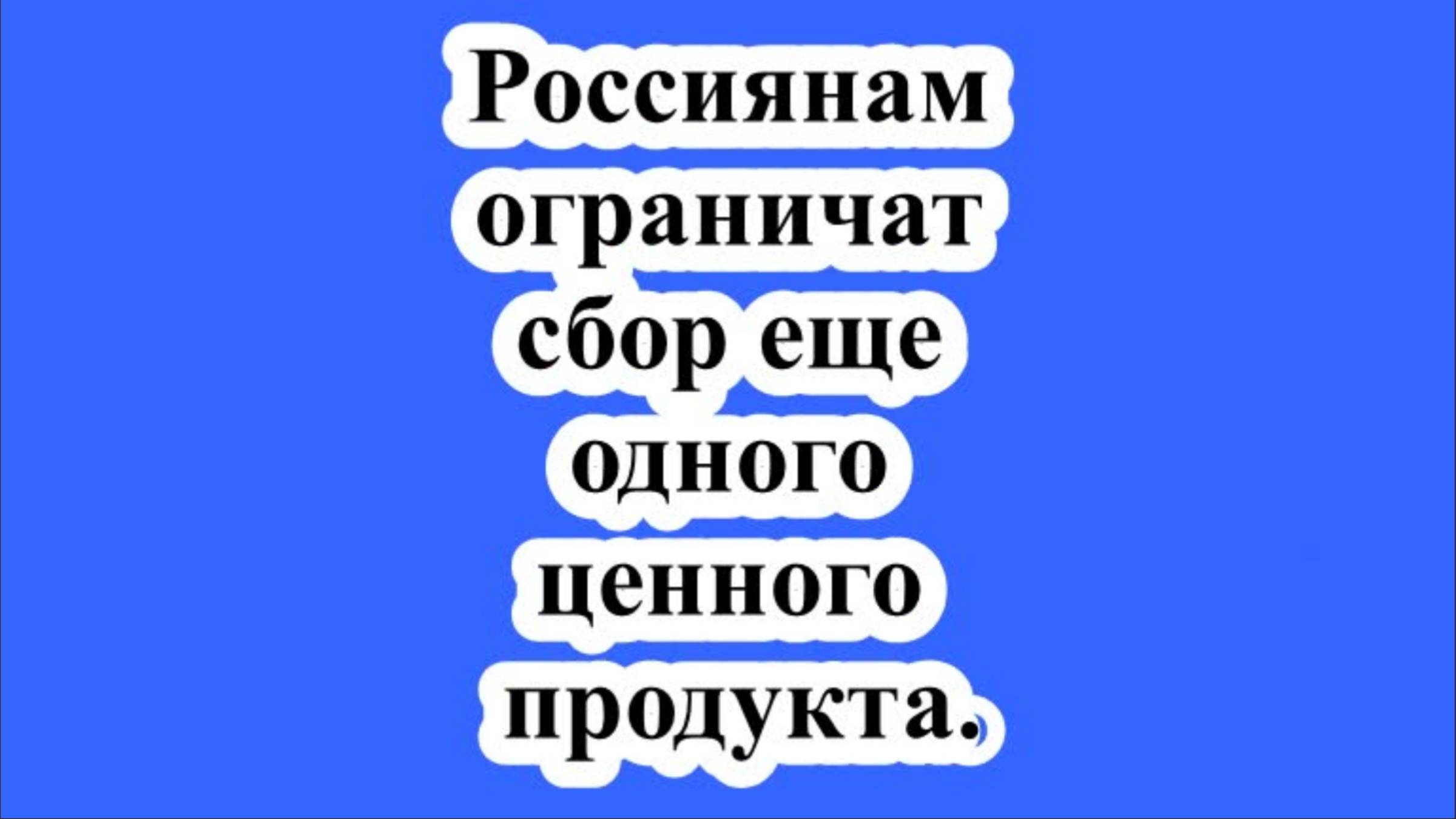 Россиянам ограничат сбор еще одного ценного продукта.