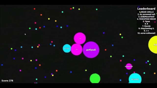 Как стать программистом с нуля