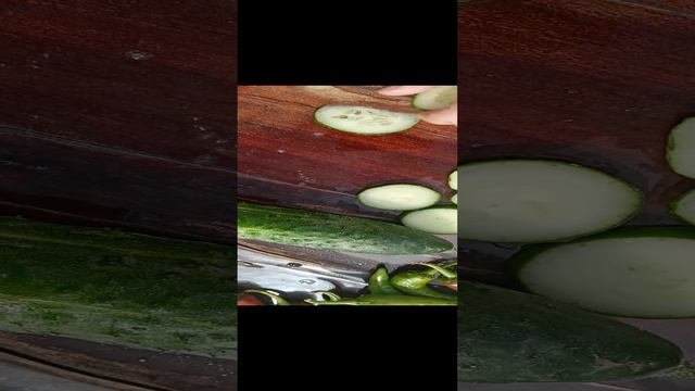 даём огурчи индюкам