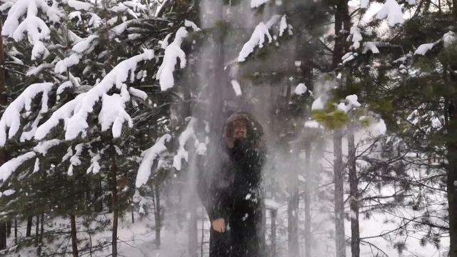 Зимняя сказка)