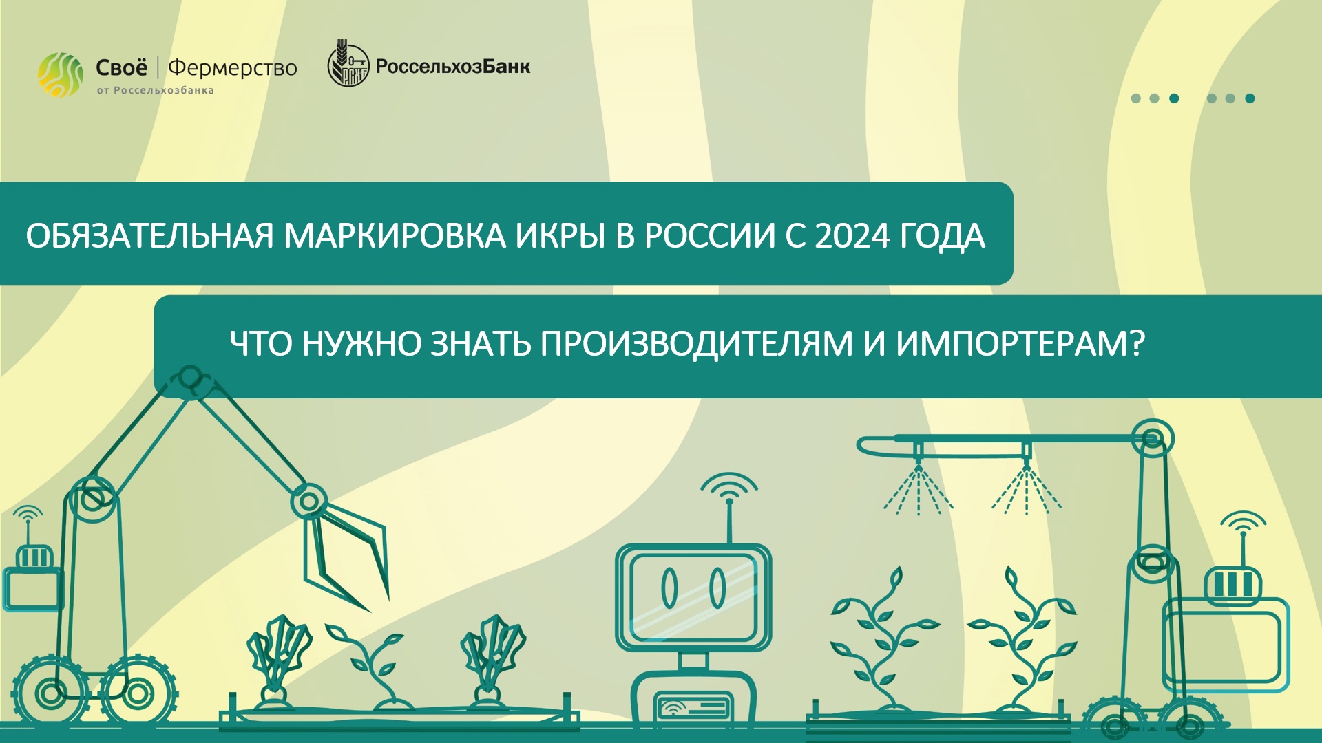Обязательная маркировка икры в России с 2024 года. Что нужно знать производителям и импортерам?