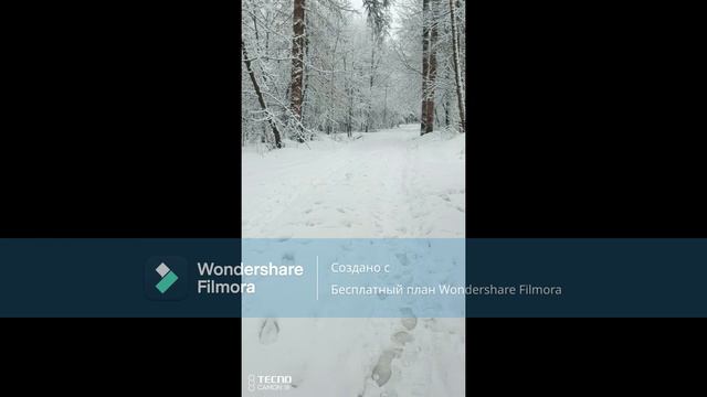 Прогулка после снегопада зимой 2023-2024 года #щелково #Чкаловский #мособласть #снегопад