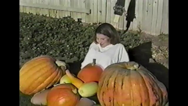 Baby or Pumpkin  Memory Hole