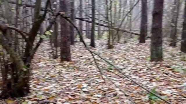 Очередной поход на палатки НКВД.