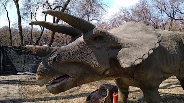 Динозавры. Выставка динозавров.
