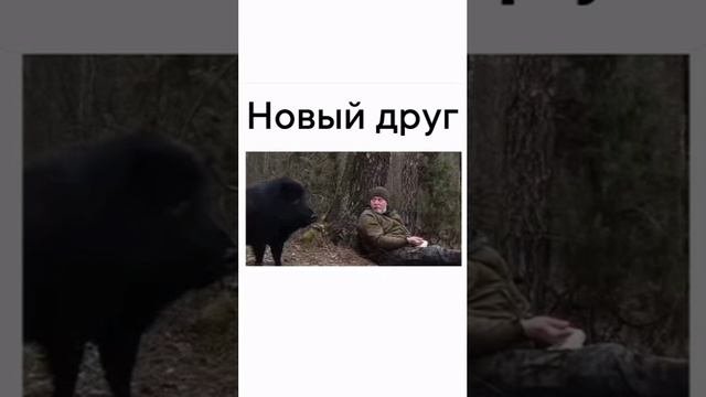 торопиться некуда
