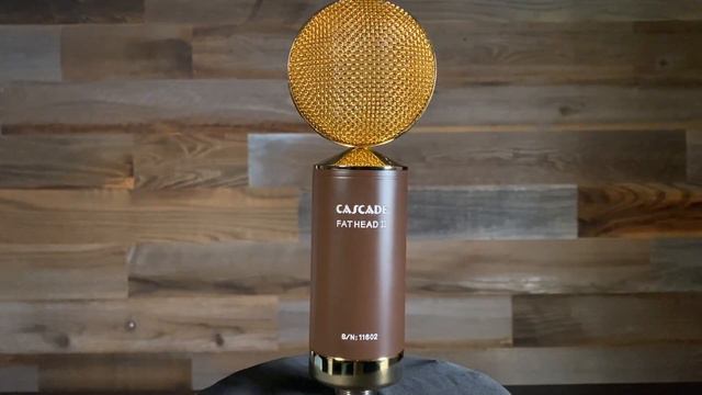 Cascade Fat Head II Ribbon Microphone - Gear360 at Front End Audio