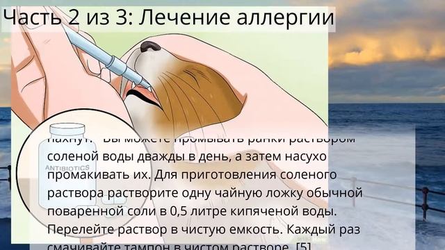 Как сделать так чтобы кот перестал вырывать собственную шерсть