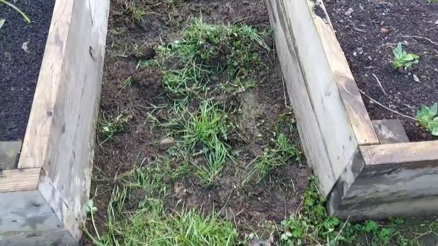 La Mejor HERRAMIENTA Para LIMPIAR HIERBAS Sin Esfuerzo || La Huertina De Toni