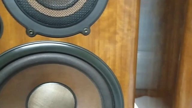 Diatone DS-600Z